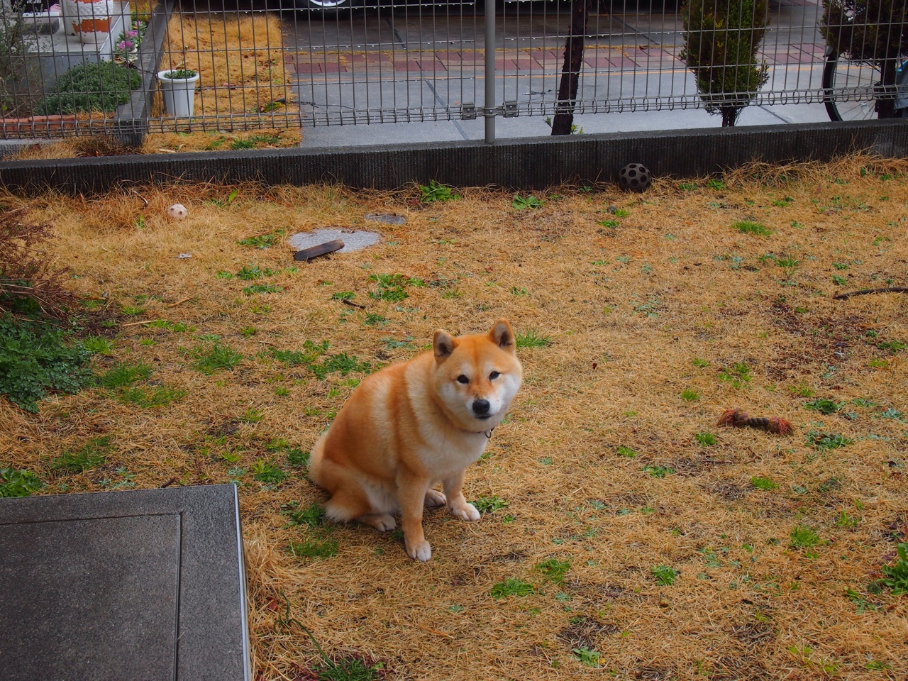 库里引领联盟：由“远程杀手”变身球队核心的逆袭故事，库里cj