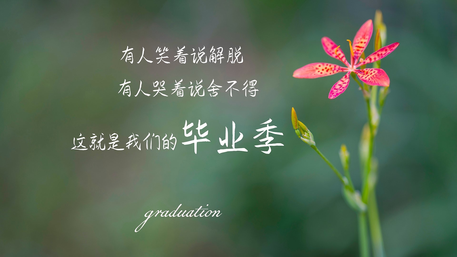 爱游戏电竞-下个周末，摩纳哥大奖赛开启激烈角逐，摩纳哥大奖赛直播