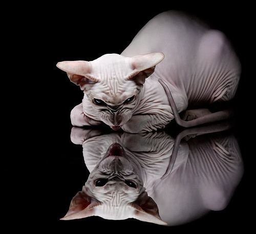 全国青训示范队伍评比正式启动，行业竞争更具公平性，中国青训计划