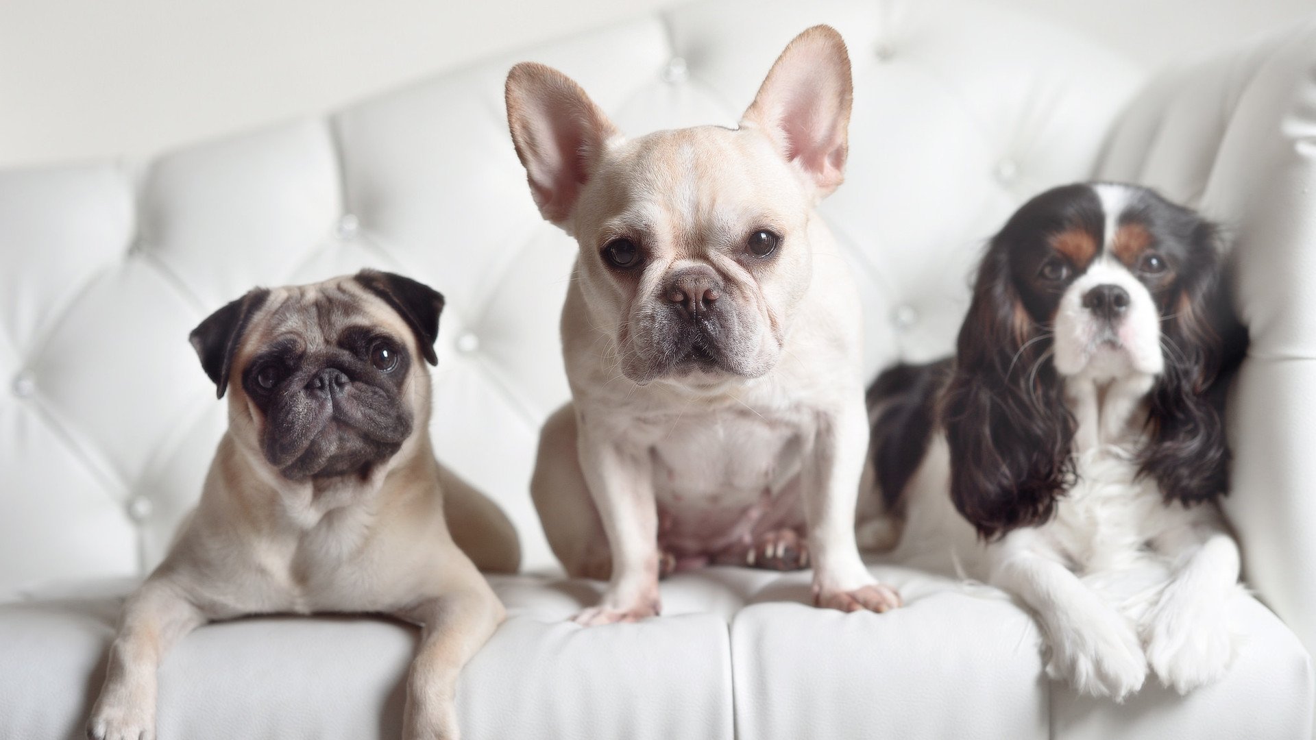 历史性时刻：经典比赛重现，感动一代球迷