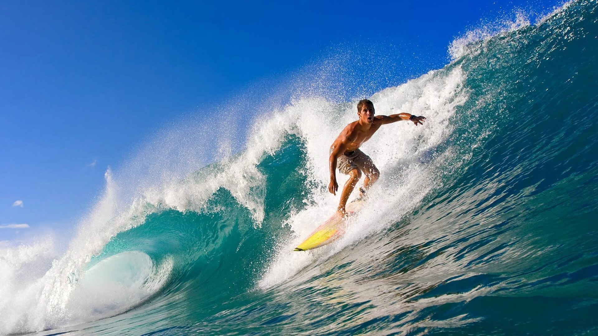 爱游戏网页版-“霍斯特助力南非羚羊队稳守阵地，向世界冠军迈进”